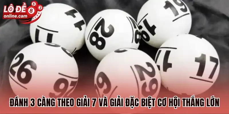 Đánh 3 càng theo giải 7 và giải đặc biệt cơ hội thắng lớn