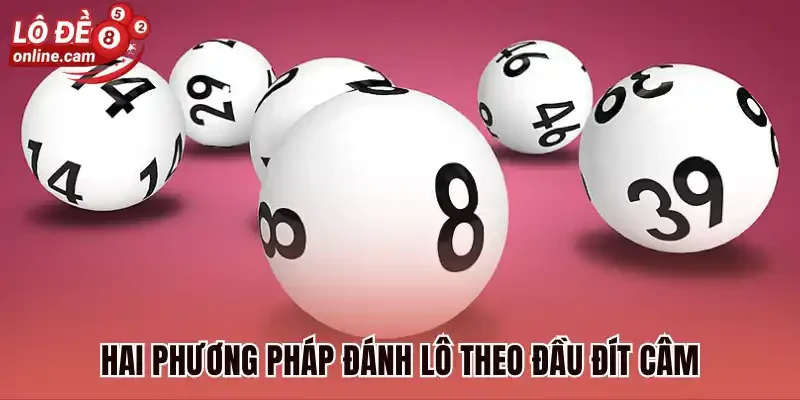Hai phương pháp đánh lô theo đầu đít câm