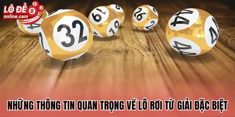 Những thông tin quan trọng về lô rơi từ giải đặc biệt