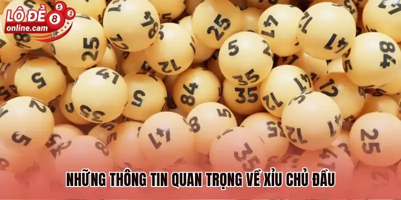 Những thông tin quan trọng về xỉu chủ đầu