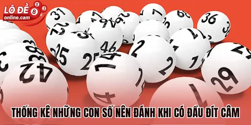 Thống kê những con số nên đánh khi có đầu đít câm