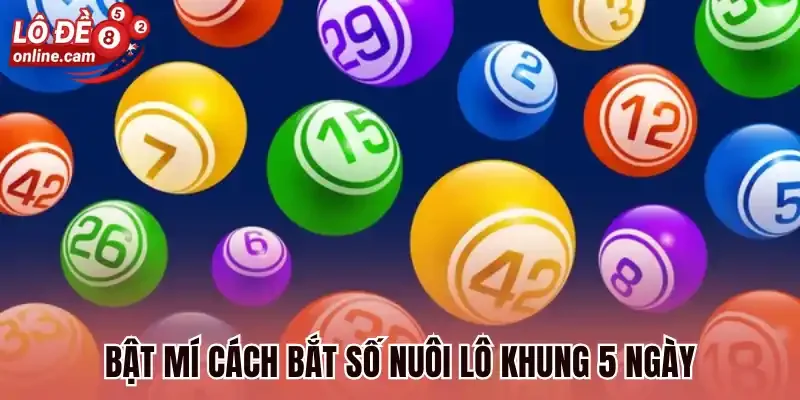 Nuôi Lô Khung 5 Ngày - Cách Xác Định Nuôi Lô Thắng Lớn 3 Bật mí cách bắt số nuôi lô khung 5 ngày