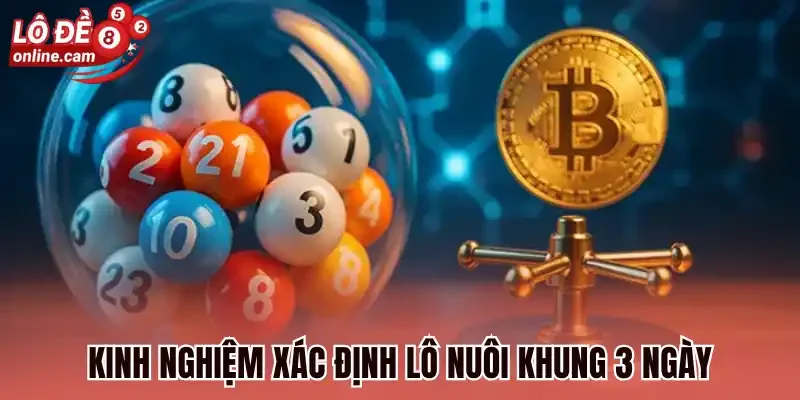 Kinh nghiệm xác định lô nuôi khung 3 ngày