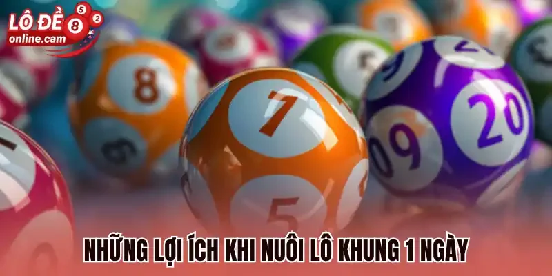 Nuôi Lô Khung 1 Ngày - Cược Đơn Giản Dễ Săn Thưởng Đến 1:99 2 Những lợi ích khi nuôi lô khung 1 ngày