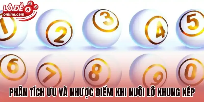 Nuôi Lô Khung Kép - 3 Cách Bắt Lô Kép Chuẩn Không Cần Chỉnh 2 Phân tích ưu và nhược điểm khi nuôi lô khung kép