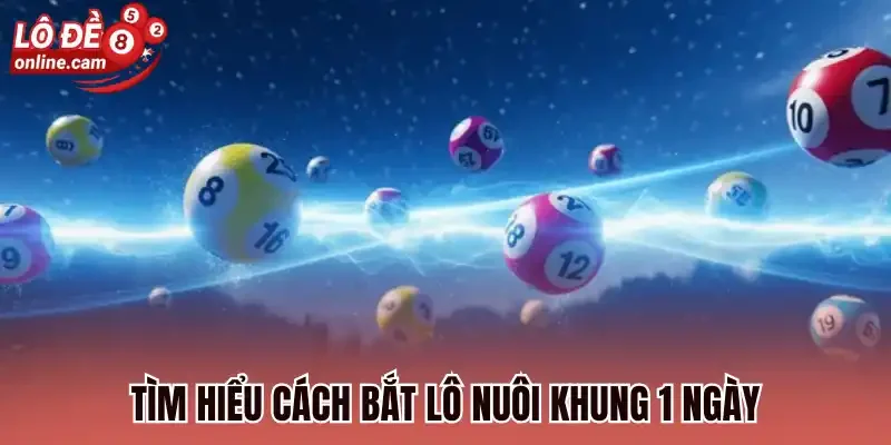 Nuôi Lô Khung 1 Ngày - Cược Đơn Giản Dễ Săn Thưởng Đến 1:99 3 Tìm hiểu cách bắt lô nuôi khung 1 ngày