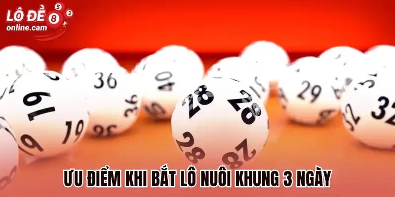 Ưu điểm khi bắt lô nuôi khung 3 ngày
